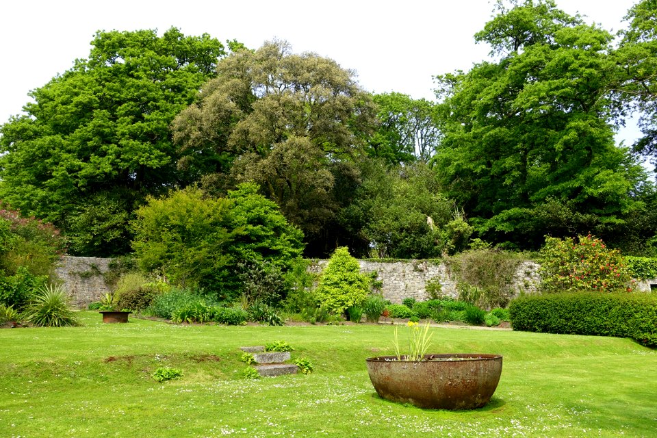 Trewidden Garden - Cornwall, England - DSC02437