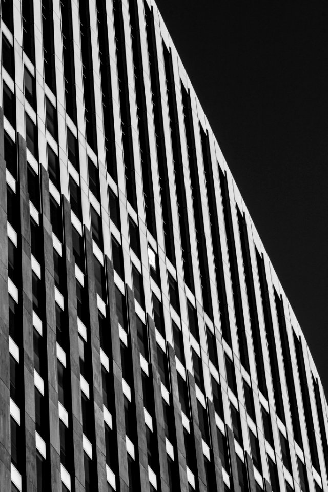 Triangle (55483170)