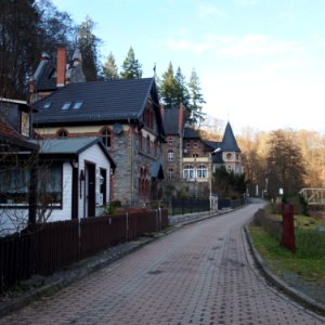 Treseburg Halde (4)