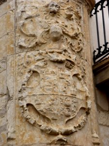 Treviño - Palacio de los Condes de Treviño (Ayuntamiento del Condado de Treviño) 2