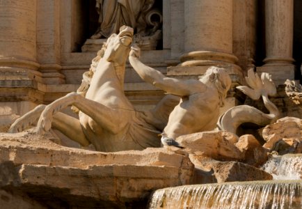 Trevi Fountain detail left photo
