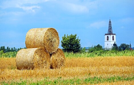Round bales harvest landscape
