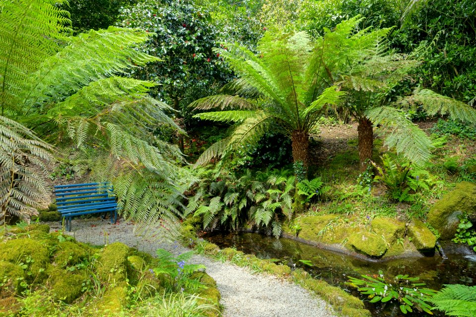 Trewidden Garden - Cornwall, England - DSC02180