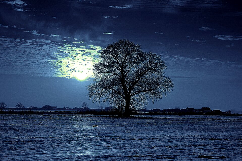 Glow lonely field