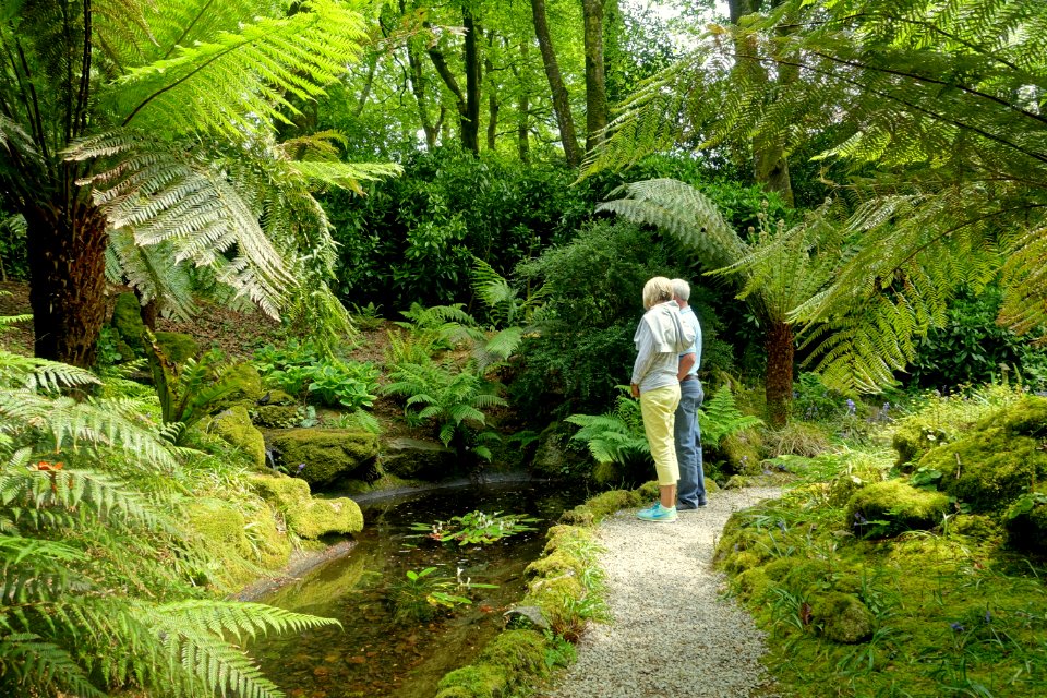 Trewidden Garden - Cornwall, England - DSC02190