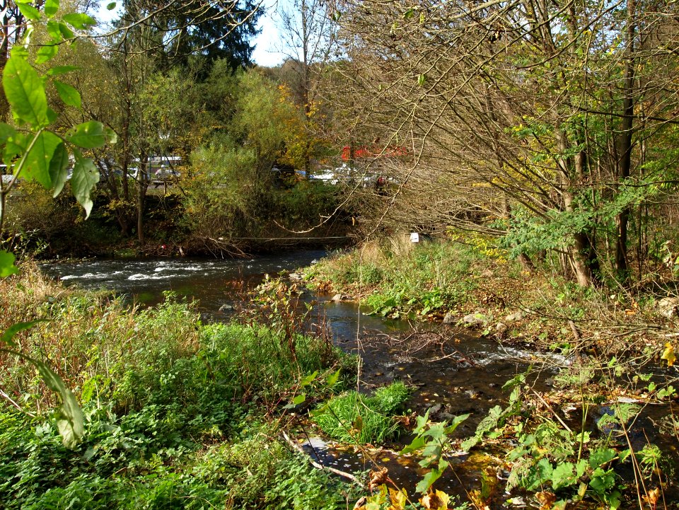 Treseburg Bode Luppbode (2)