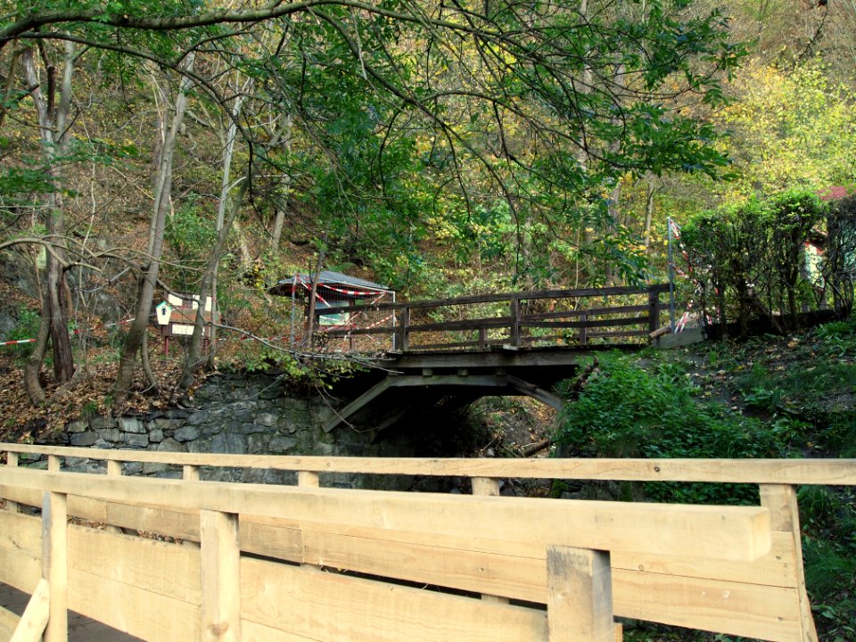 Treseburg Bruecken Luppbode