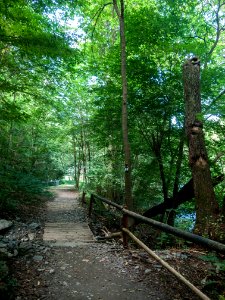 Treseburg Hexenstieg Aug2016 (2)