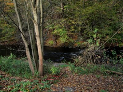 Treseburg Bode