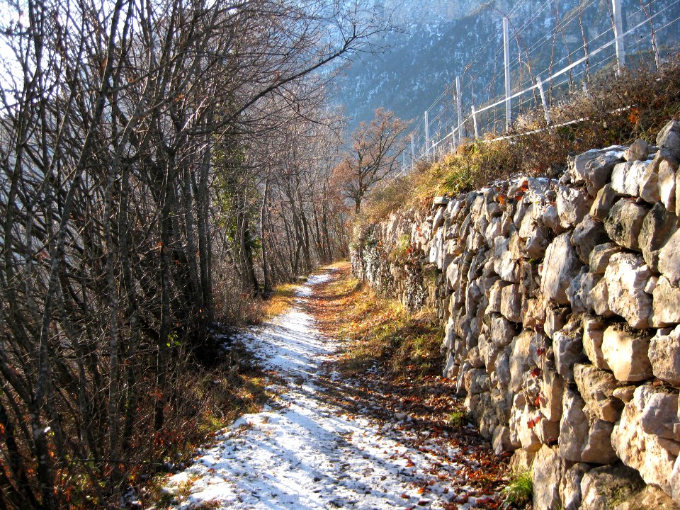 Trockenmauer Graun 3