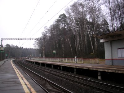 Troitskaya Istrinsky District 1