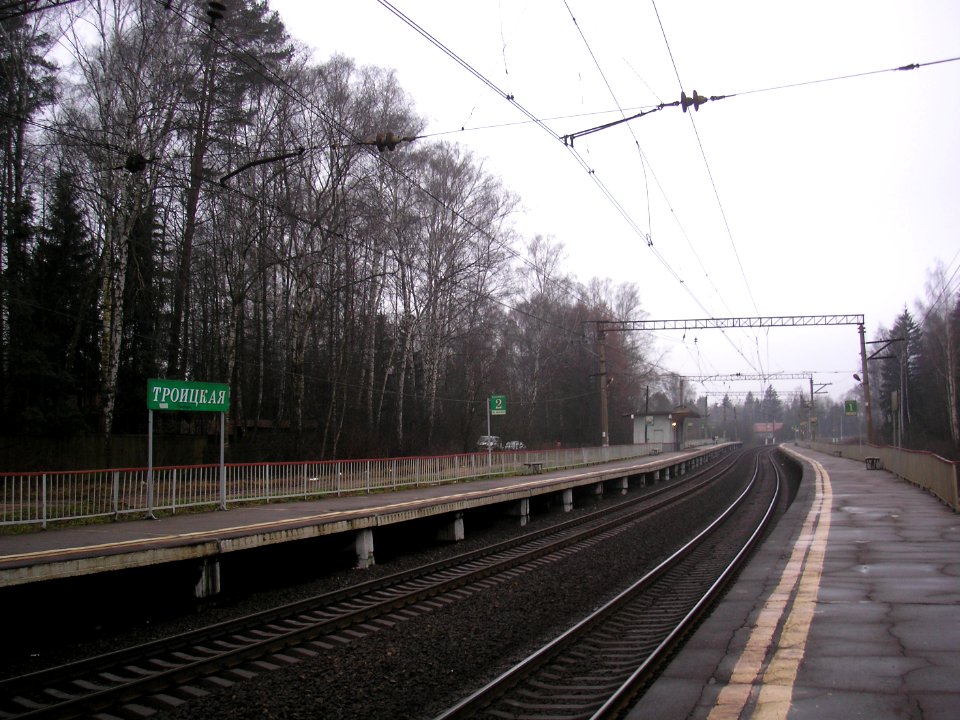 Troitskaya Istrinsky District 3
