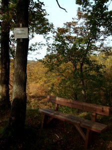 Treseburg Hackelberends Rast