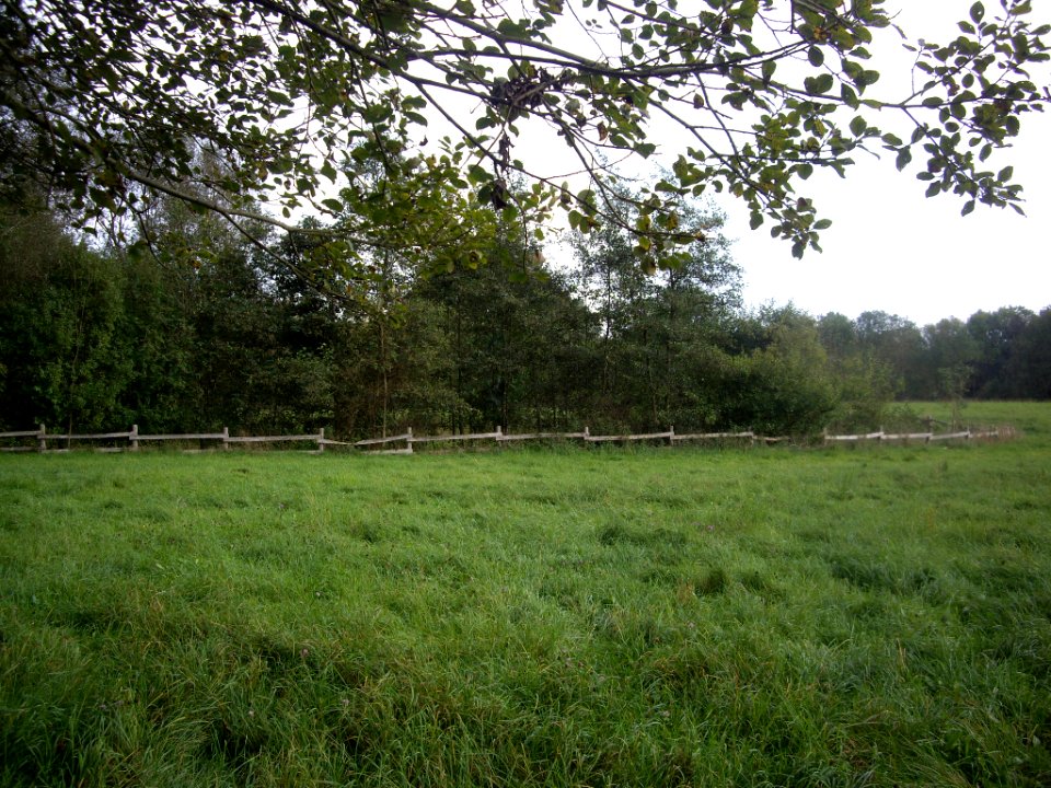 Tripkenpfuhl-06