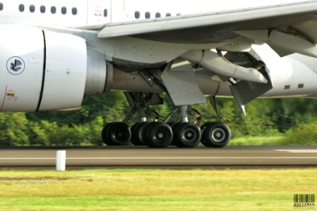 Triple 7 Landing Gear (192551025)