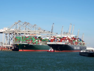 Triton & YM Width in the Amazonehaven