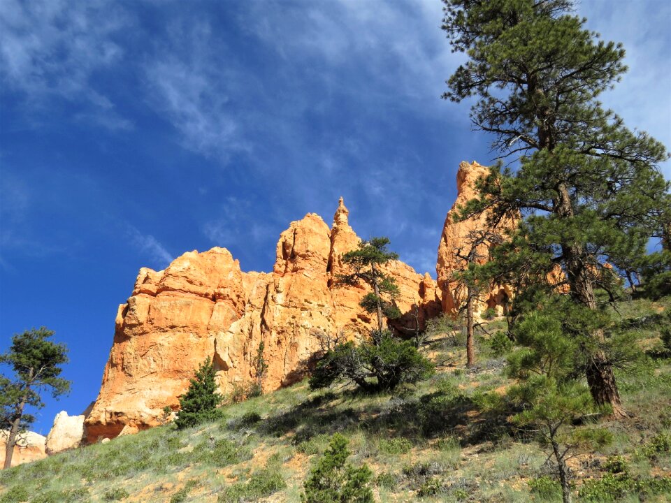 Blue sky trees hiking