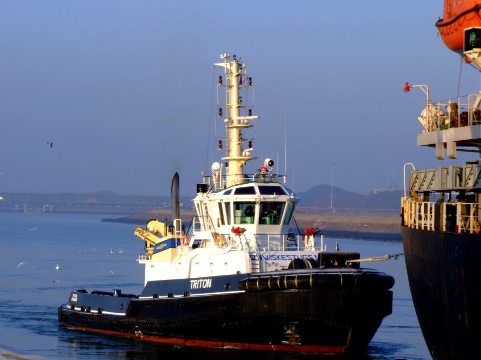 Triton IJmuiden IMO 9451537, Port of Amsterdam, Holland Triton (tugboat, 2008)