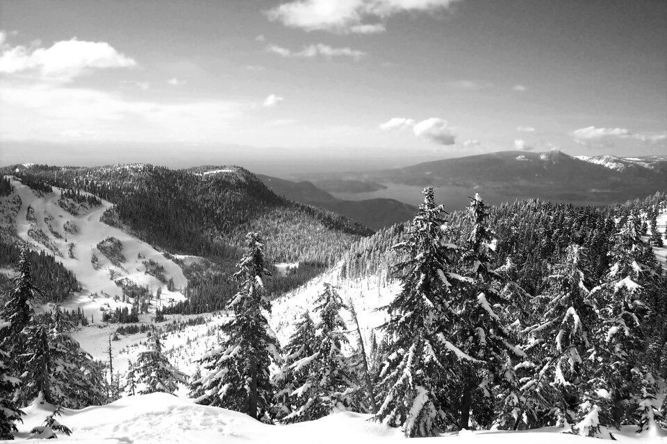 Freeze landscape nature