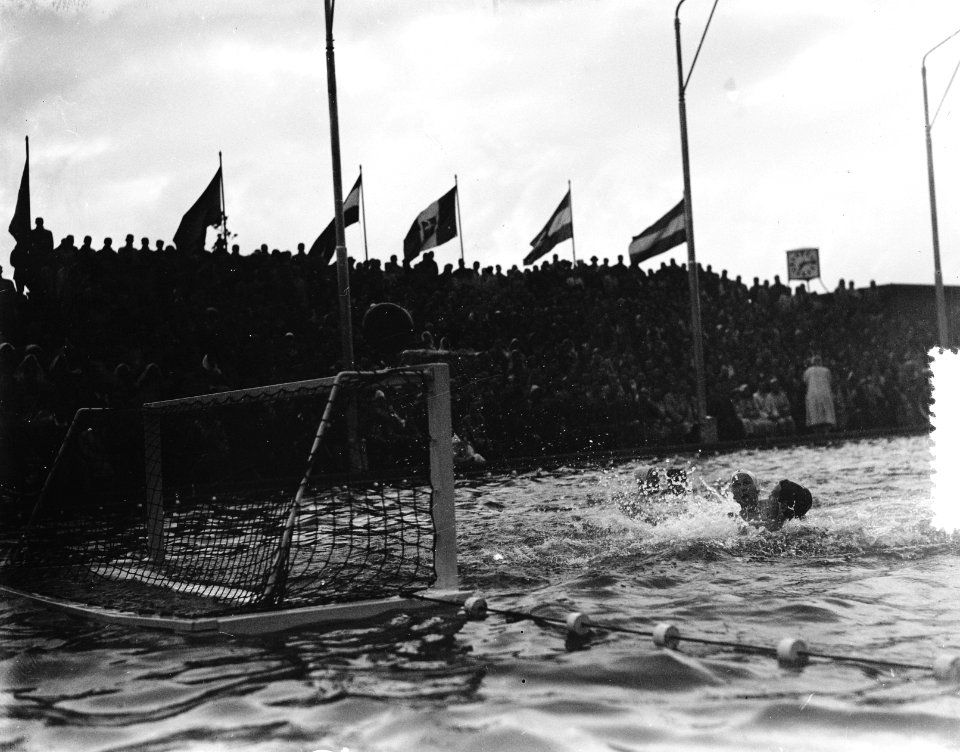 Trofeo Italie Nederland-Hongarije, Bestanddeelnr 905-8956