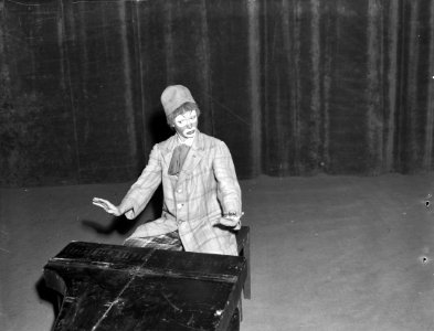 Trudi Schaap, Bestanddeelnr 901-9722
