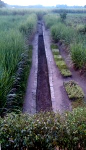 Trowulan ancient canal2 DSC 0100