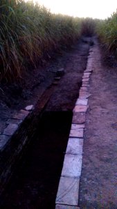 Trowulan ancient canal2 DSC 0105