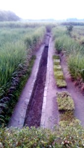 Trowulan ancient canal2 DSC 0099