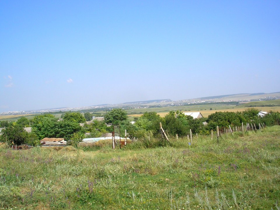 Trudolubovo 4