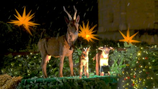TrierWeihnachtsmarktH8c