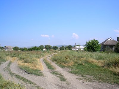 Trudolubovo 7