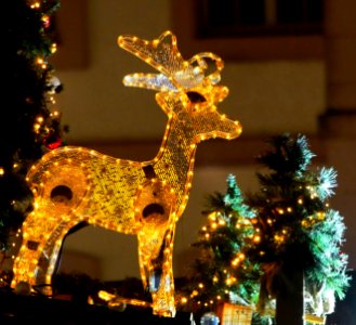 TrierWeihnachtsmarktH12c