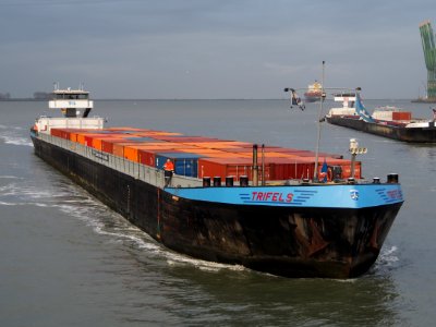 Trifels (ship, 2000) ENI 04608390, Port of Antwerp pic 1