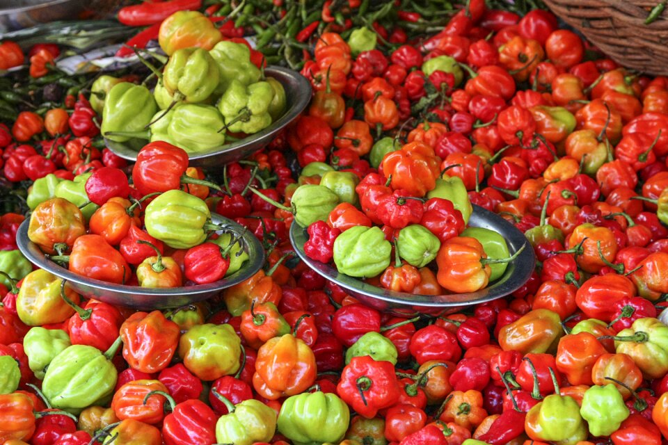 Red pepper market food
