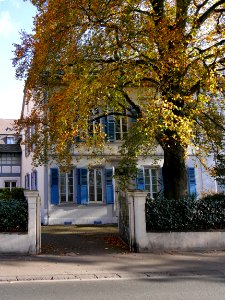 Trier Lindenstrasse 41 H1a