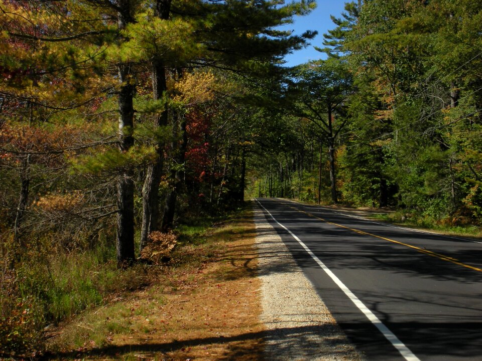 Park season scenic