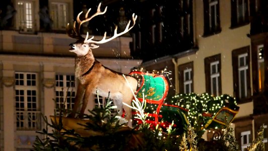 TrierWeihnachtsmarktH4c