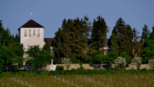 TrierKlarissenklosterH1a
