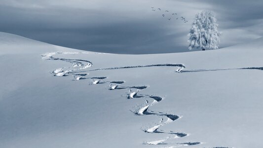 Tracks in the snow snow snow landscape photo