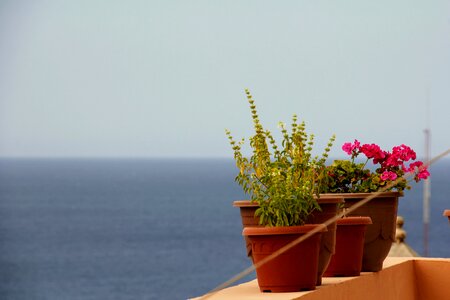 View herbs pots photo