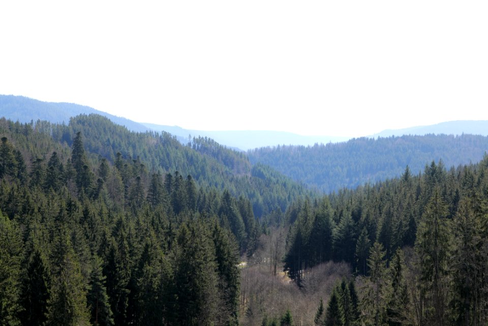 Valley from Schwarzenbachtalsperre dam 2020-03-15 09