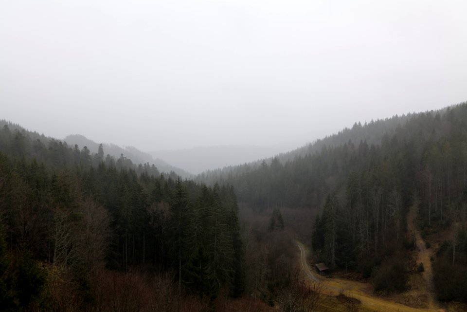 Valley from Schwarzenbachtalsperre dam 2020-03-10 03