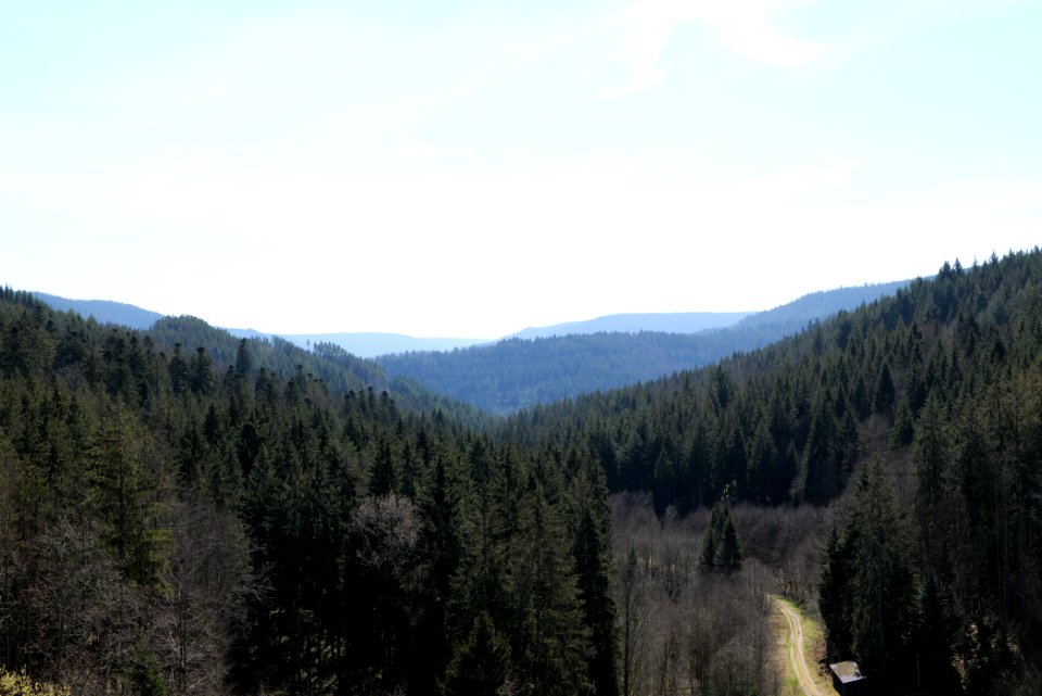 Valley from Schwarzenbachtalsperre dam 2020-03-15 03