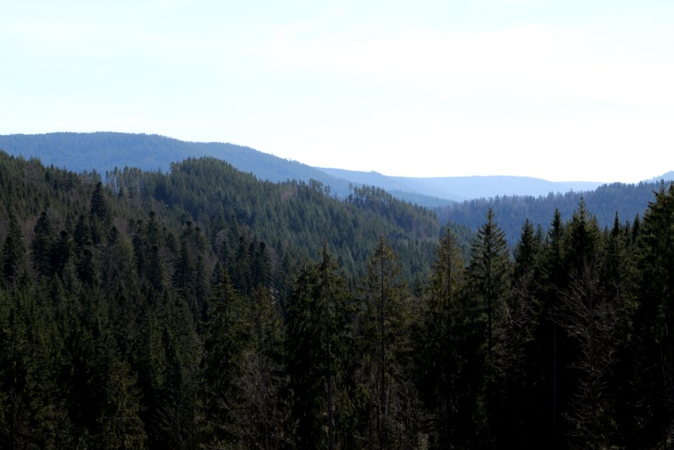 Valley from Schwarzenbachtalsperre dam 2020-03-15 11