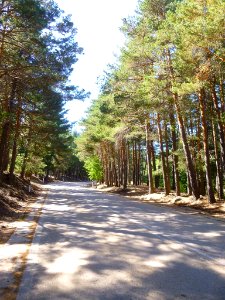 Valle de los Caídos 3