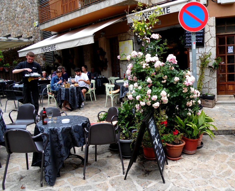 VALLDEMOSSA-MAJORKA, AB-293