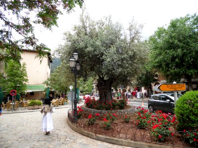 VALLDEMOSSA-MAJORKA, AB-294