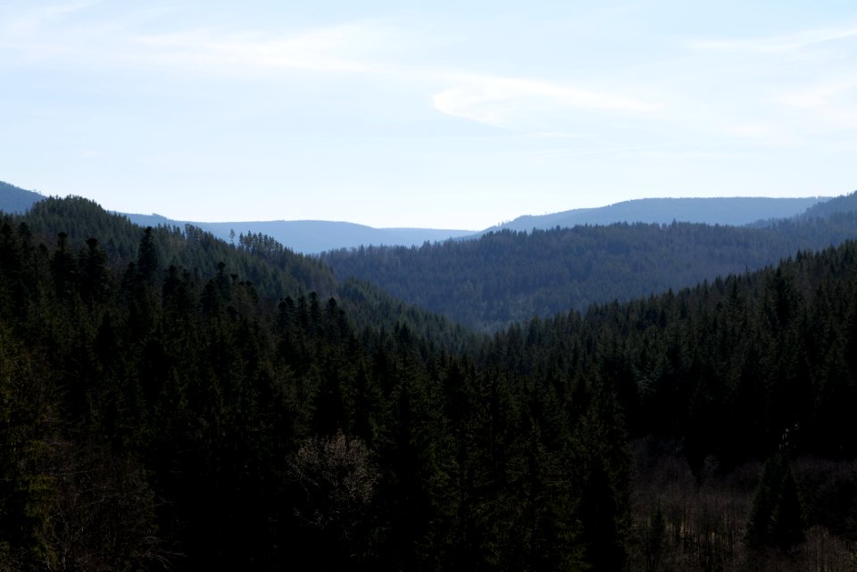 Valley from Schwarzenbachtalsperre dam 2020-03-15 01
