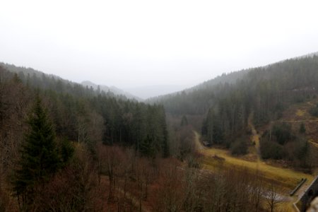 Valley from Schwarzenbachtalsperre dam 2020-03-10 01