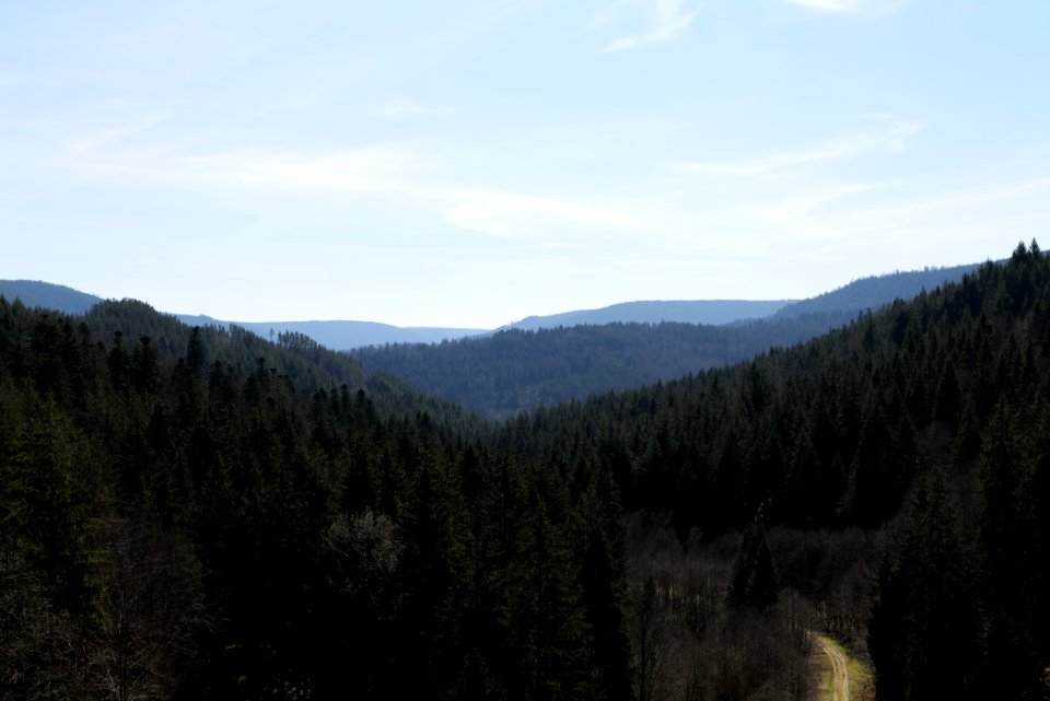 Valley from Schwarzenbachtalsperre dam 2020-03-15 06